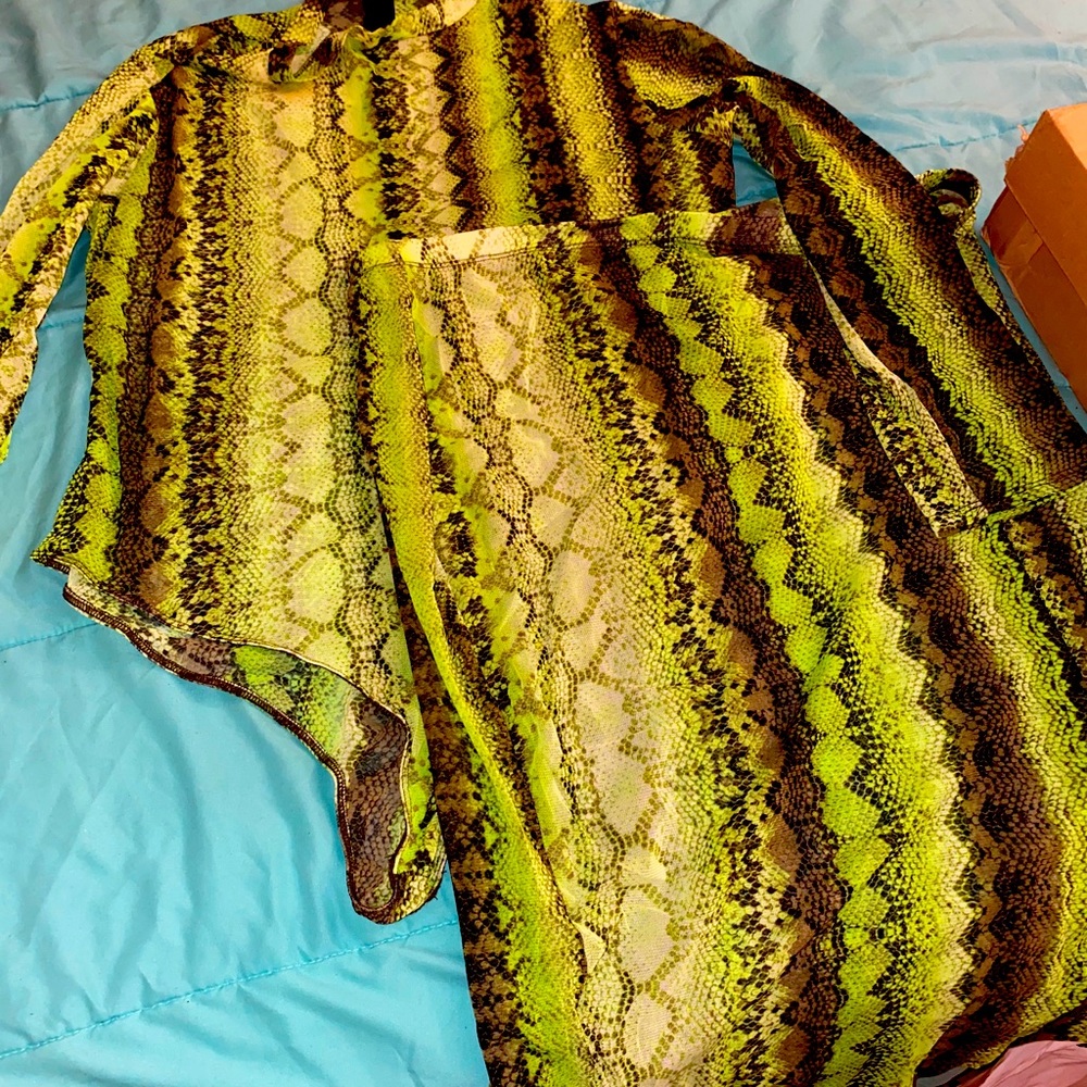 Green mesh snakeskin 2 piece